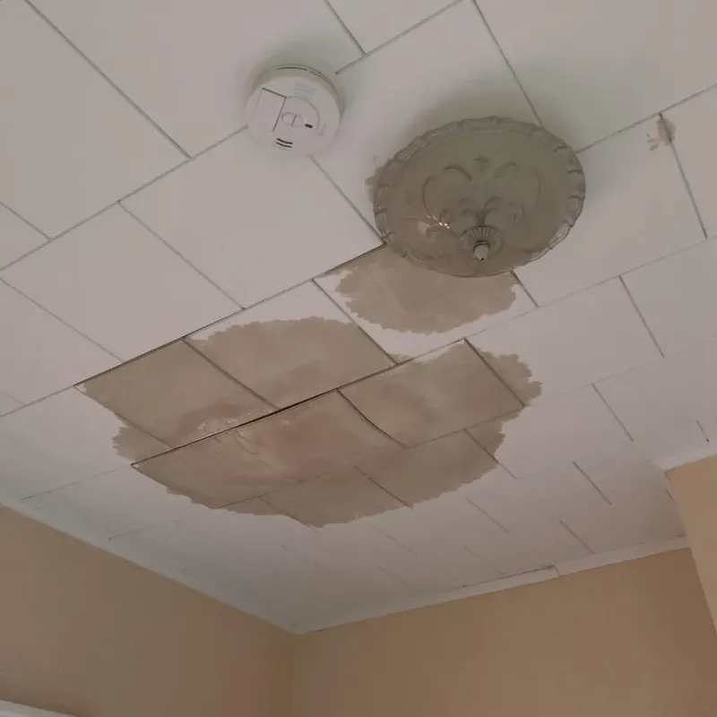 Ceiling Water Damage Repair in Kasson, MN